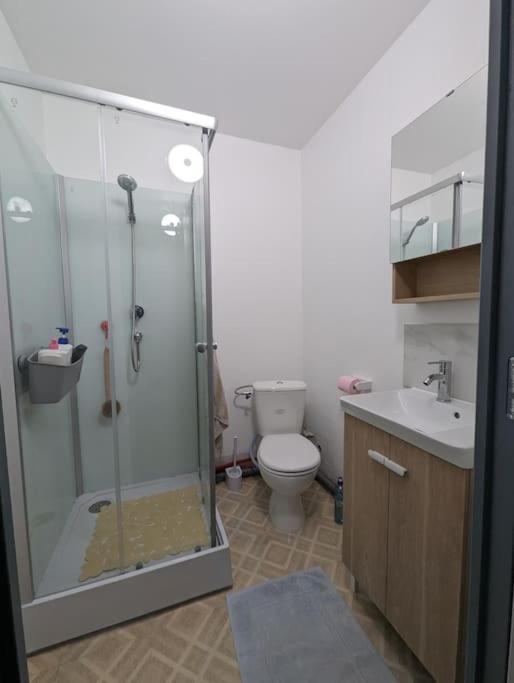 Chez Les P'Tits Loups Apartment Страсбург Екстериор снимка